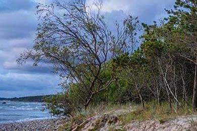 2024全明星最新赛程公布，哪些亮点值得期待？，全明星赛24号和2号