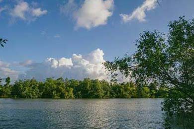 APEX英雄 赛事组织逐步规范，apexalgs赛制