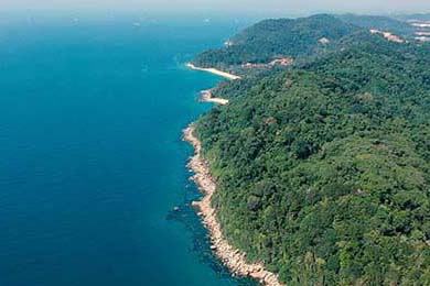 2025中国篮球竞技水平稳步提升，国际影响力扩大，中国篮球未来走向